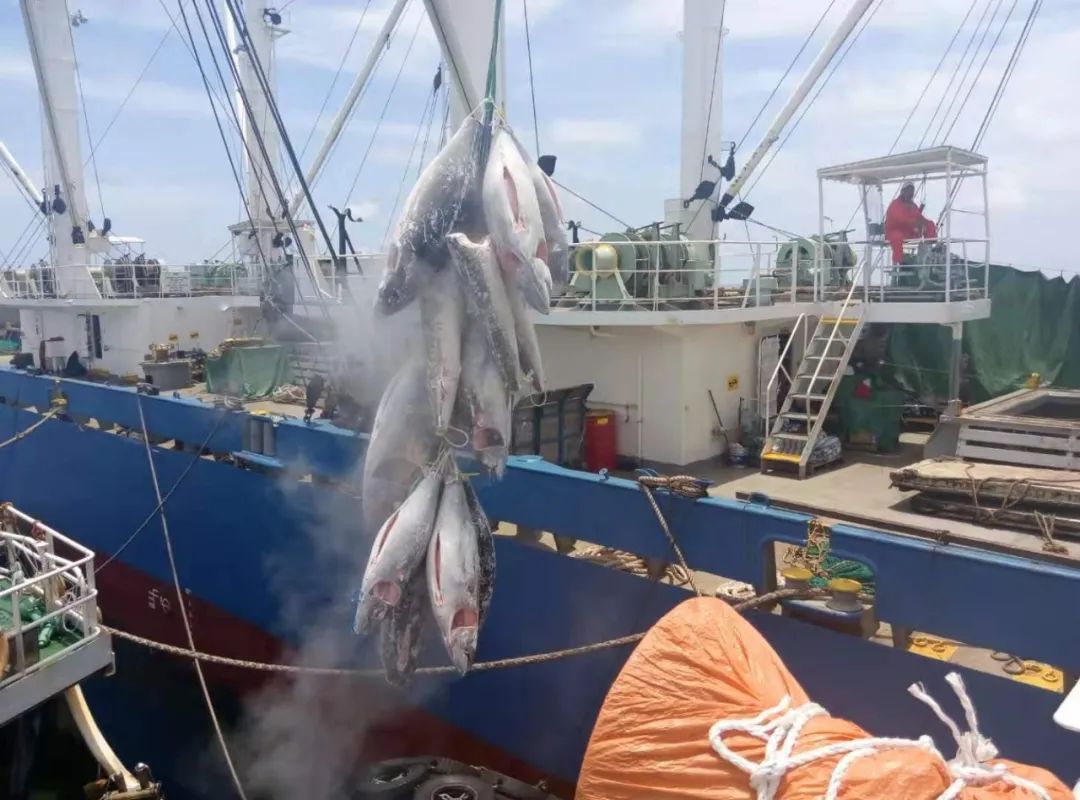 1640937925847984.jpg 1640937925847984.jpg