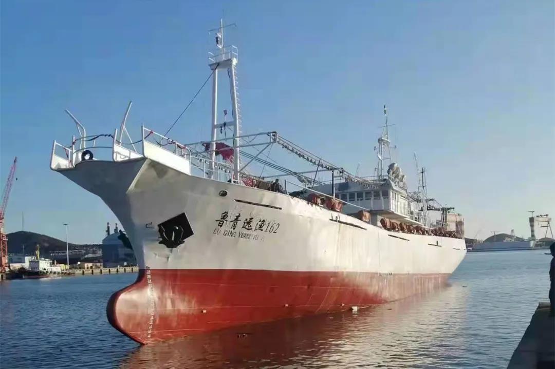 1640938009249369.jpg 1640938009249369.jpg