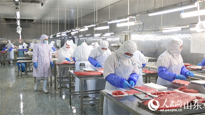 金槍魚生產(chǎn)加工車間  中魯遠(yuǎn)洋供圖