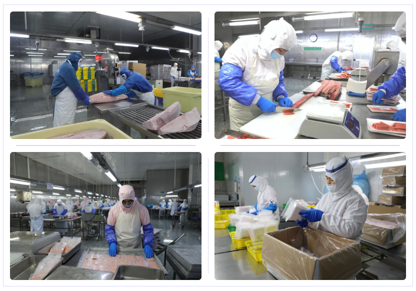 1736235761113689.jpg 1736235707327.jpg